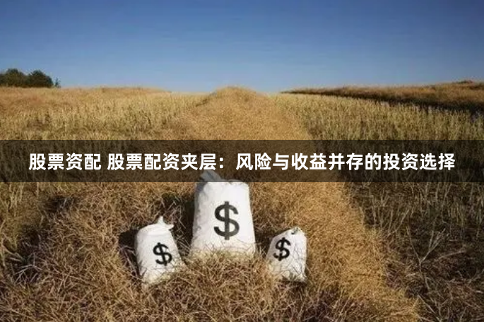 股票资配 股票配资夹层：风险与收益并存的投资选择