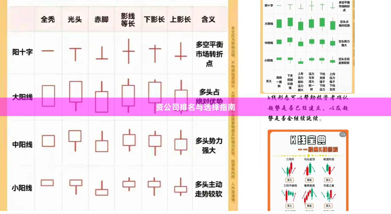 资公司排名与选择指南